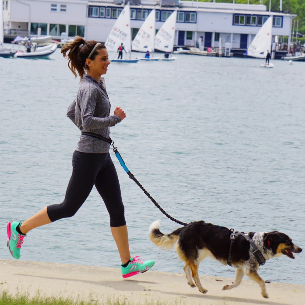 Hands-Free Dog Leash for Walking, Running, and Jogging