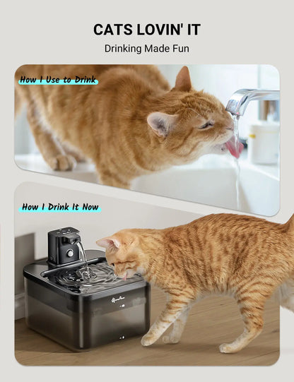 Battery-Operated Automatic Pet Water Dispenser with Motion Sensor