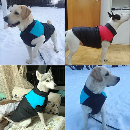 Waterproof Padded Dog Vest