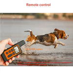 Waterproof Rechargeable Electric Dog Training Collar with Remote Control