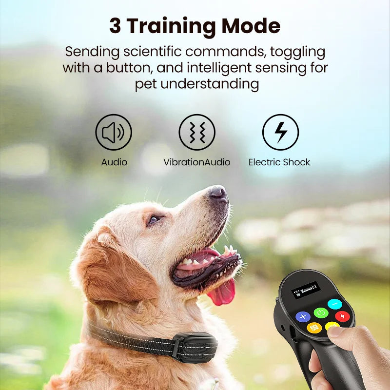 Electric Dog Training Collar with Remote Control