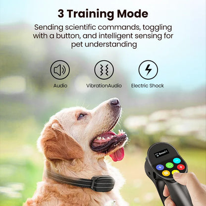 Electric Dog Training Collar with Remote Control