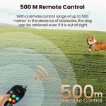 Electric Dog Training Collar with Remote Control