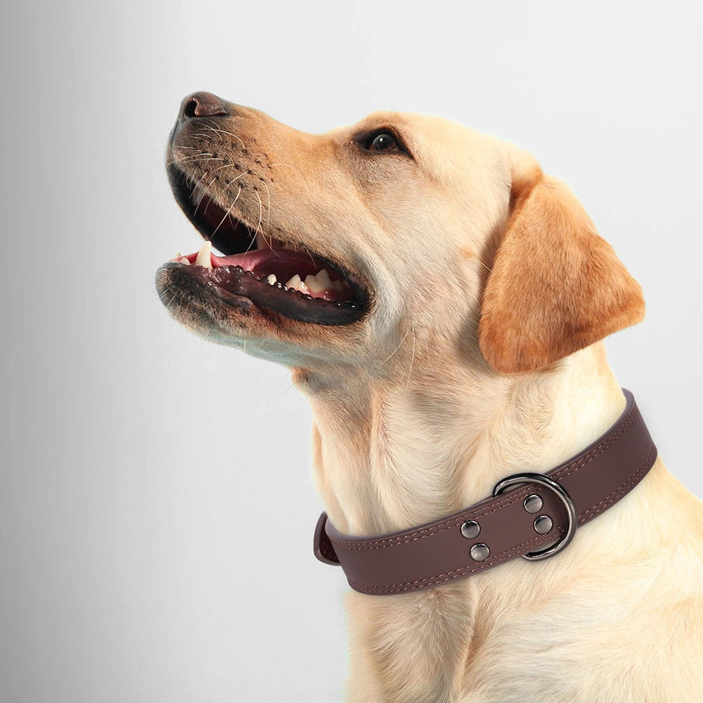 Durable Leather Dog Collar for Small, Medium, and Large Dogs