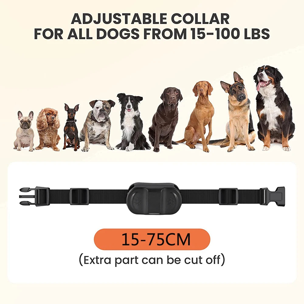 Dog Training Collar with Remote