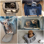 Dog Carrier Backpack: Soft-Sided, Airline Approved Pet Travel Bag for Small Dogs and Cats