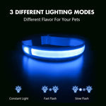 LED Dog Collar