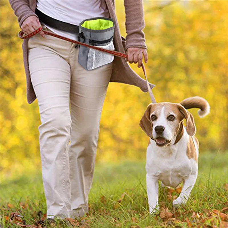 Fashionable Pet Dog Snack Bag