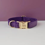 Luxury Personalised Dog Collar Set  (Optional Leash)