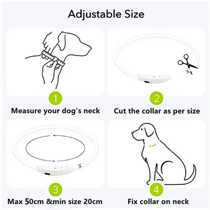 LED Light Dog Collar