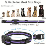 Electric Dog Training Collar with Remote Control