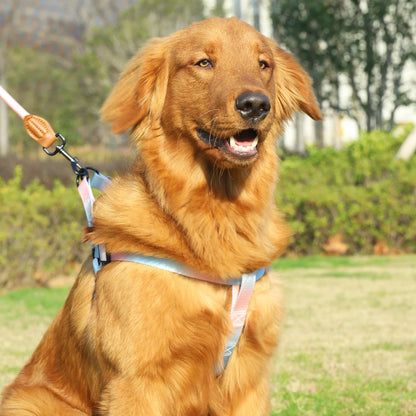 Colourful Pet Harness and Leash Set