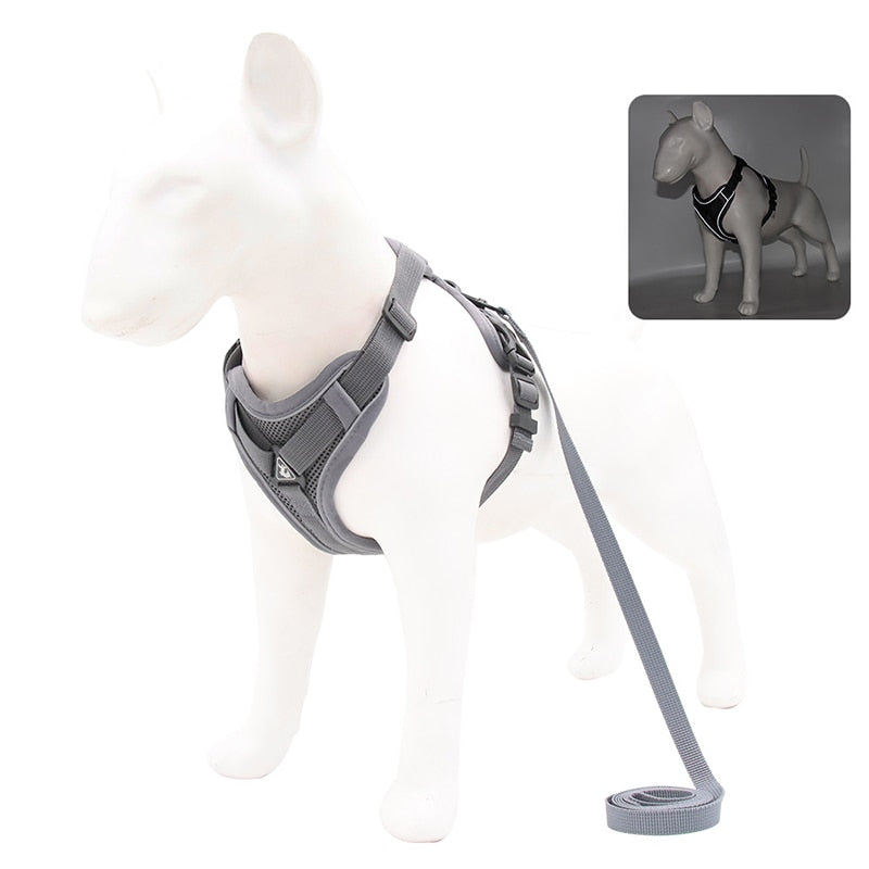 No Pull Dog Harness and Leash Set