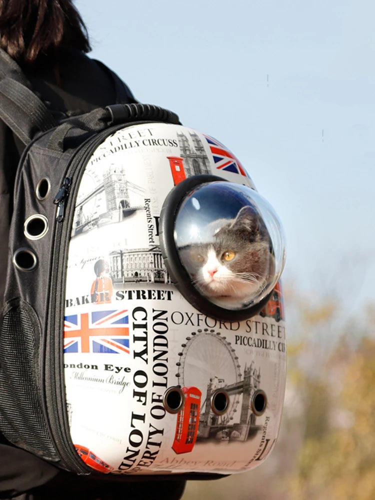 Breathable Space-Inspired Pet Backpack