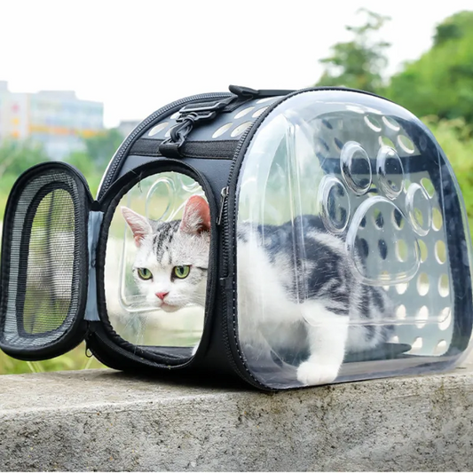 Portable and Foldable Large-Capacity Pet Backpack