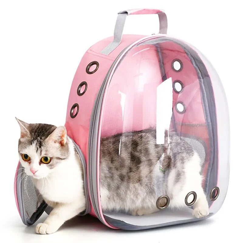 Transparent Capsule Cat Pet Carrier Backpack for Small Animals