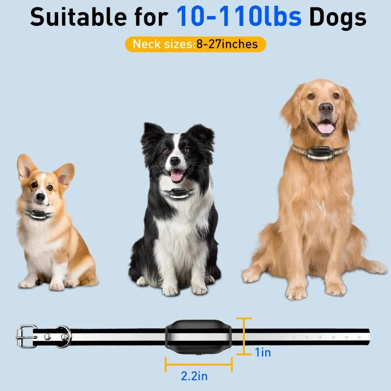 Dog Training Collar With Remote - No Shock Collar