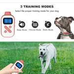Professional Electric Dog Training Collar with 1000M Range