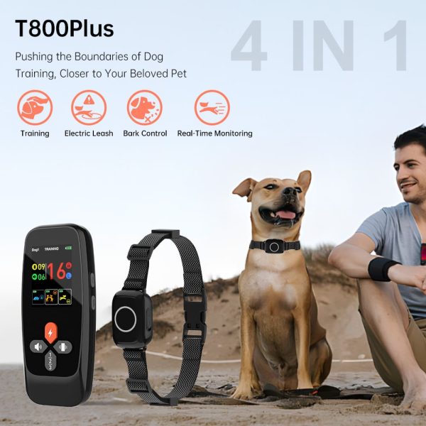 T800-Plus Training Collar