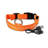 Orange (Rechargeable) / XXL Neck 43-62 CM