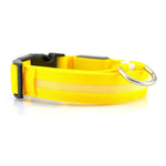 Adjustable LED Luminous Dog Collar