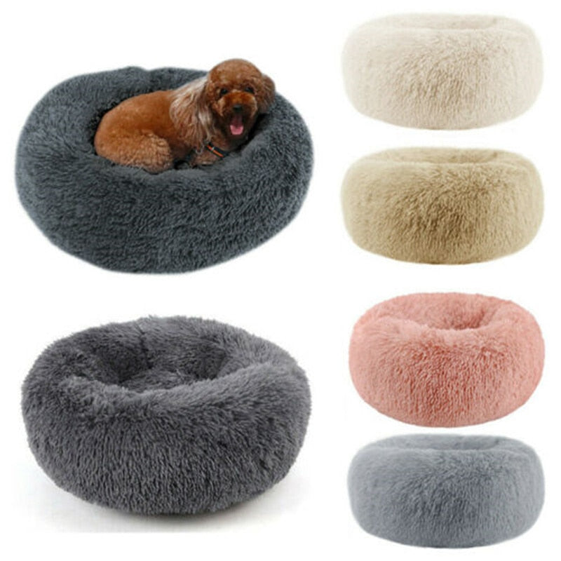 Pet Beds