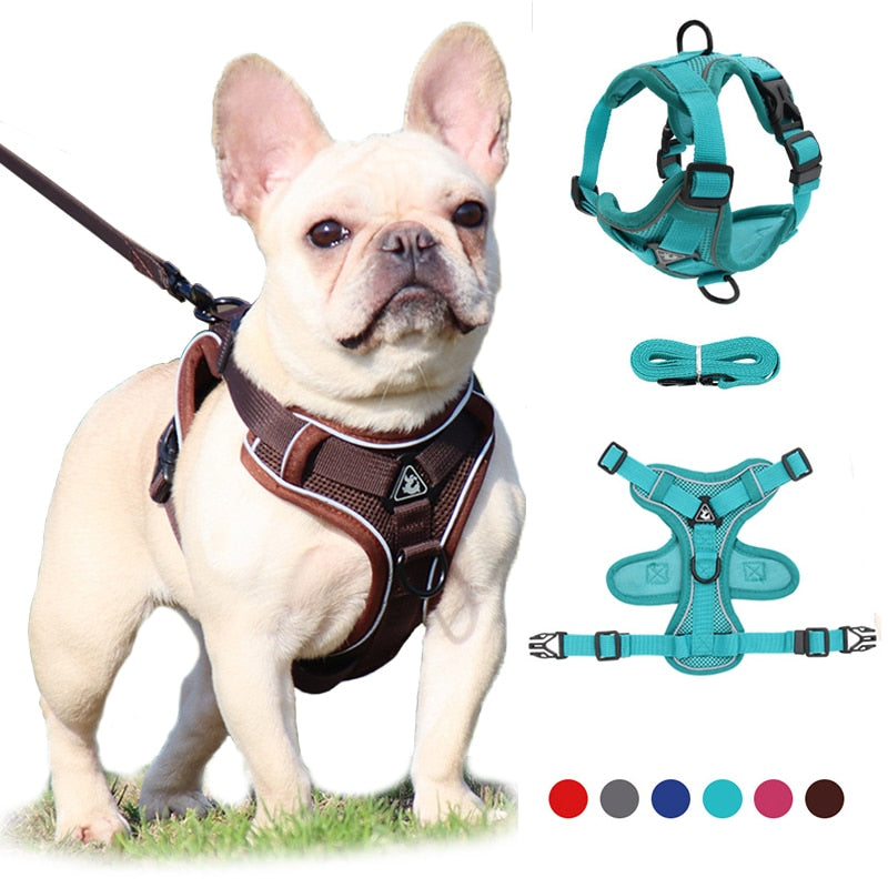 No Pull Dog Harness and Leash Set