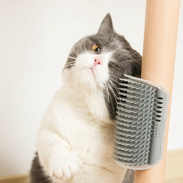 Removable Pet Massage Brush