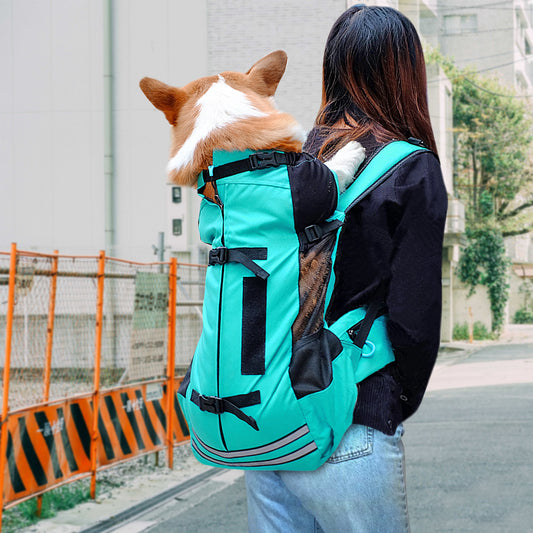 Dog Carrier Back Pack